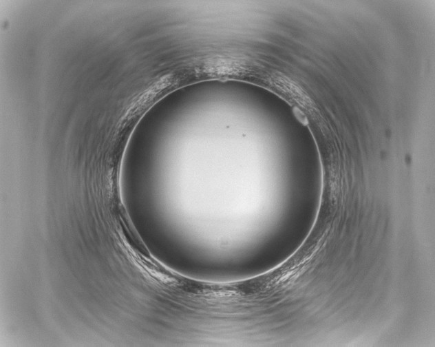 X0000059100401200510101224