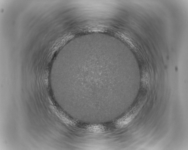 X0000059100402200510101224