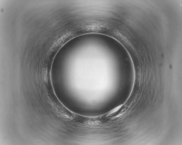 X0000059100403200510101224