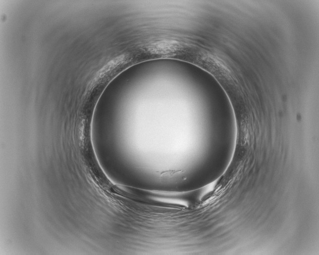 X0000059100404200510101224