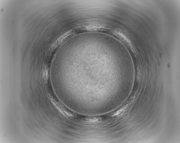 X0000059100405200510101224