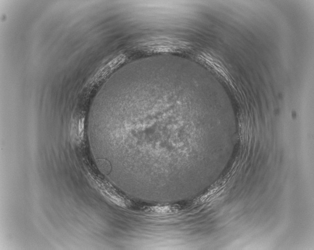 X0000059100406200510101223