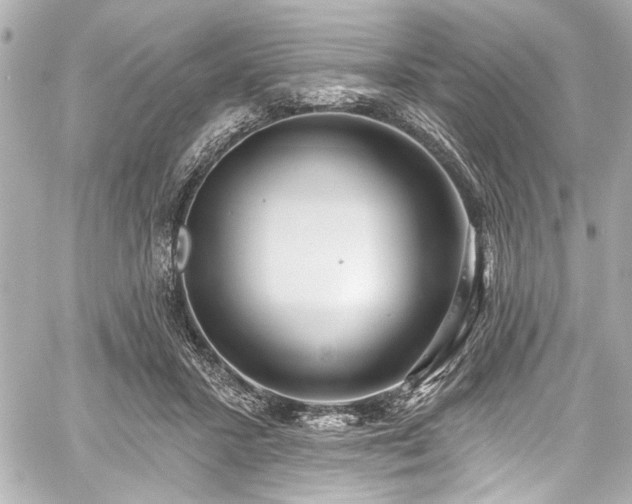 X0000059100407200510101223