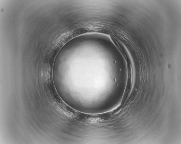 X0000059100408200510101223