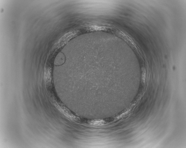 X0000059100410200510101223