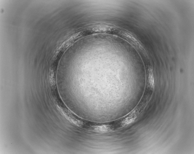 X0000059100411200510101223