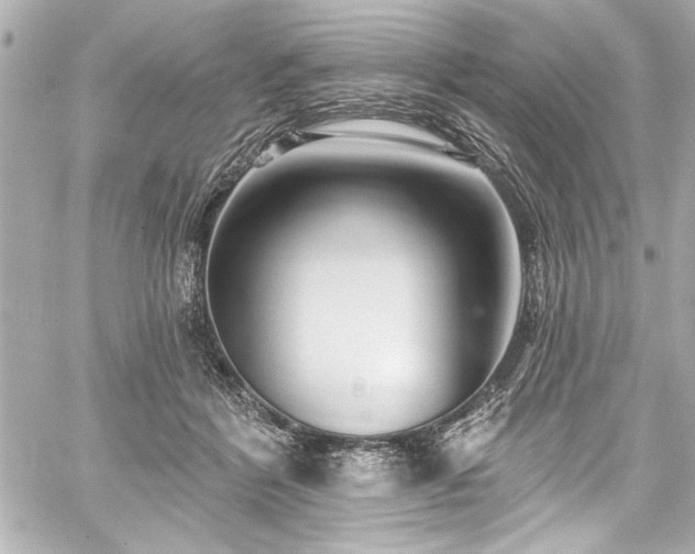 X0000059100412200510101223