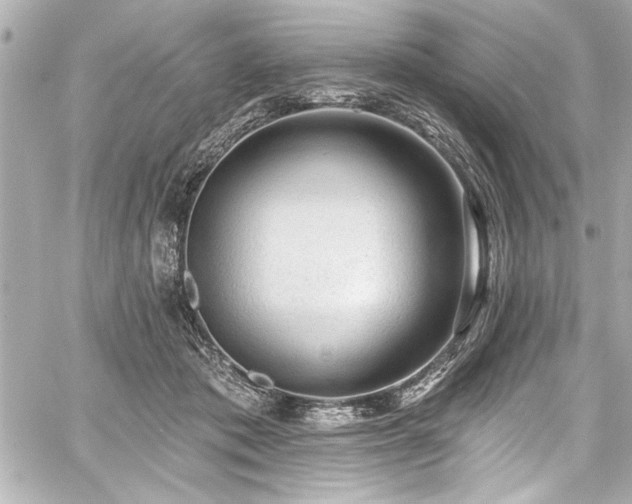 X0000059100413200510101223