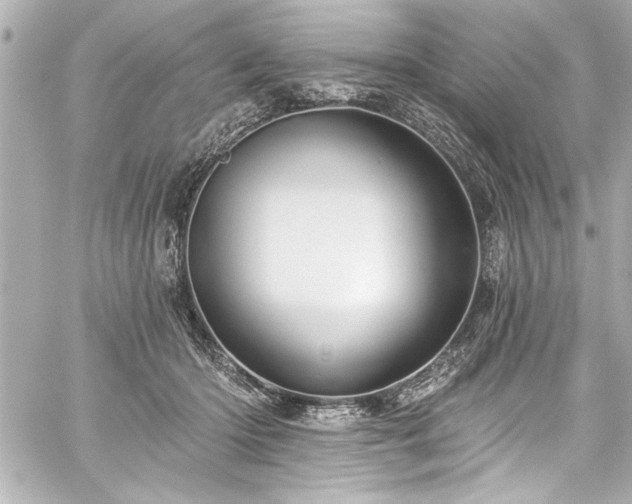 X0000059100414200510101223