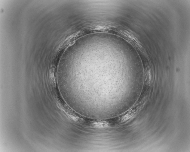 X0000059100415200510101223