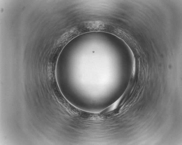 X0000059100416200510101223