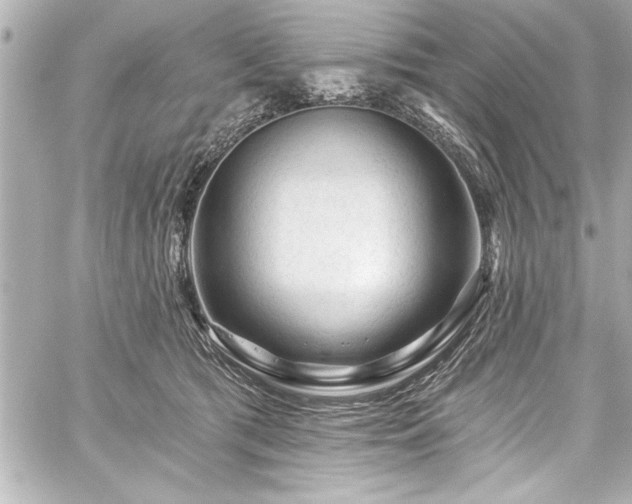 X0000059100417200510101223