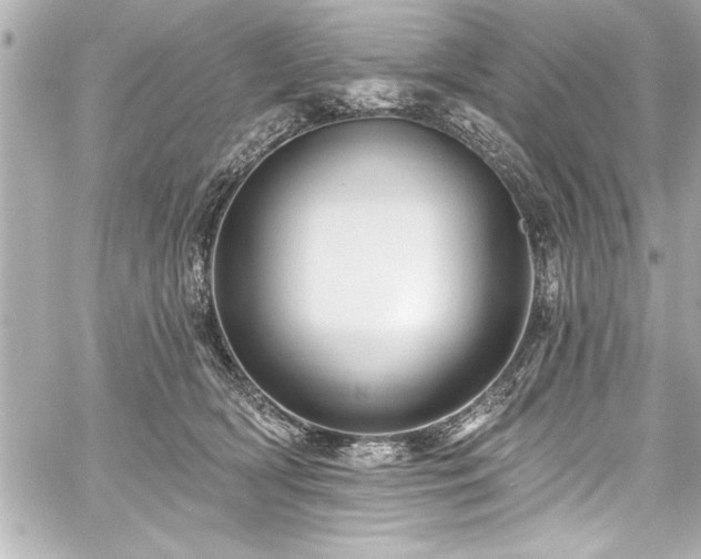 X0000059100418200510101223