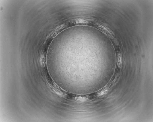 X0000059100419200510101223