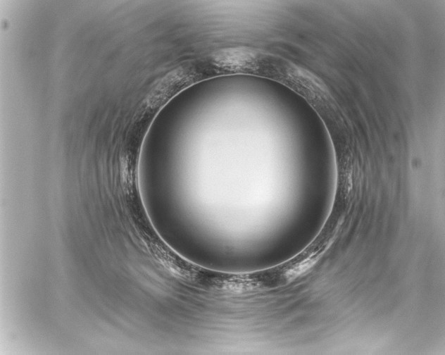 X0000059100420200510101223