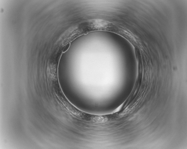 X0000059100421200510101223