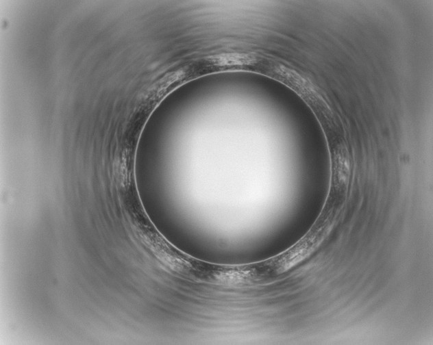 X0000059100422200510101223