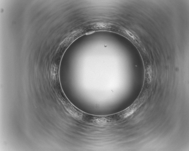 X0000059100423200510101223