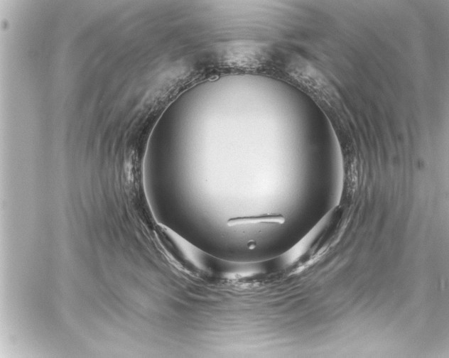 X0000059100424200510101223