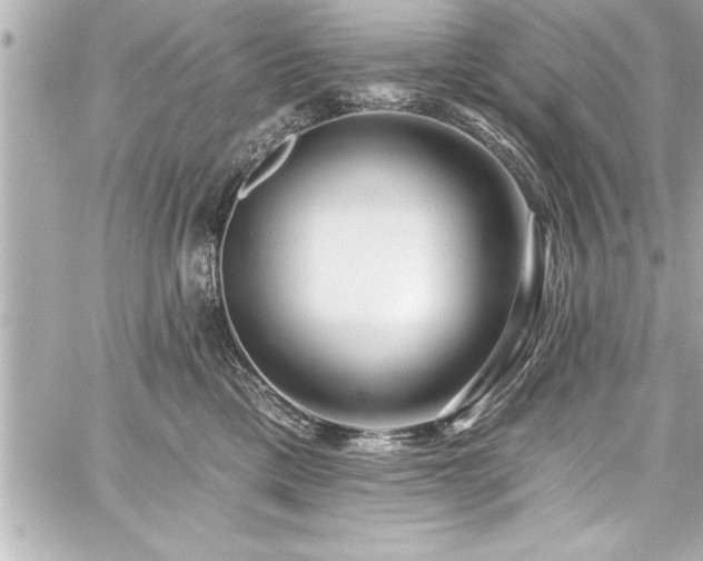 X0000059100425200510101223