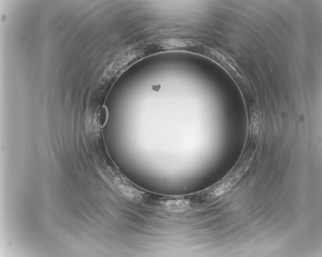 X0000059100426200510101223