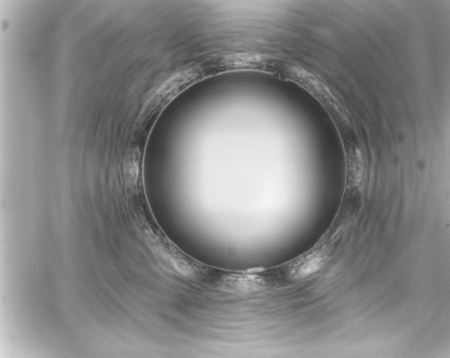 X0000059100427200510101223