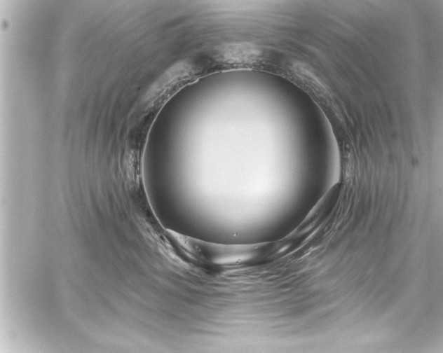 X0000059100428200510101223