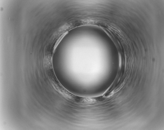 X0000059100429200510101223