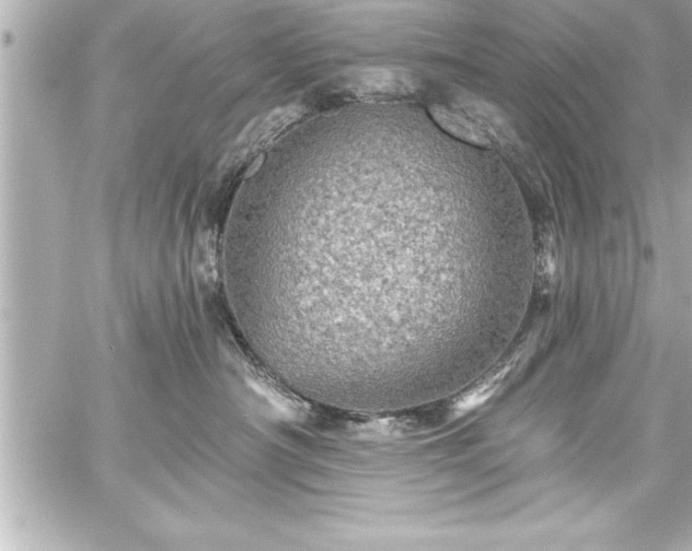 X0000059100430200510101223