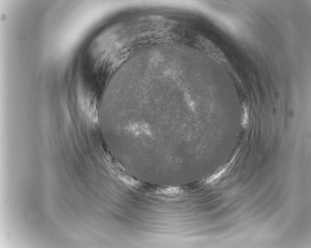 X0000059100431200510101223