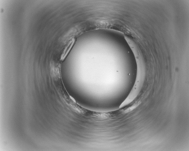 X0000059100432200510101223