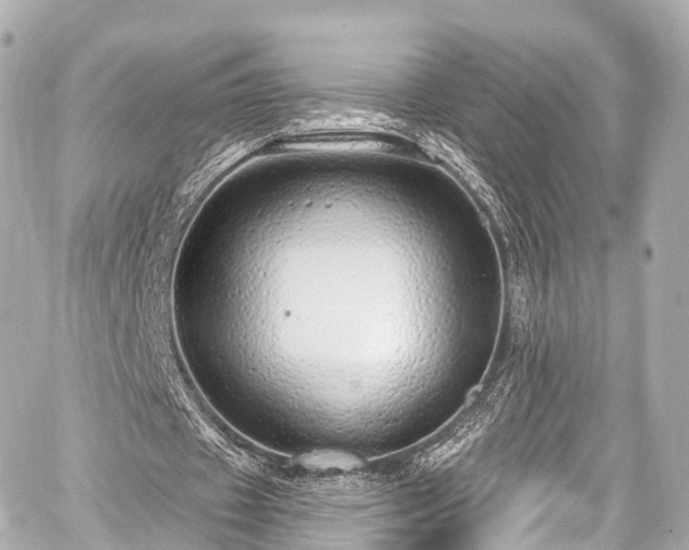 X0000059100433200510101222