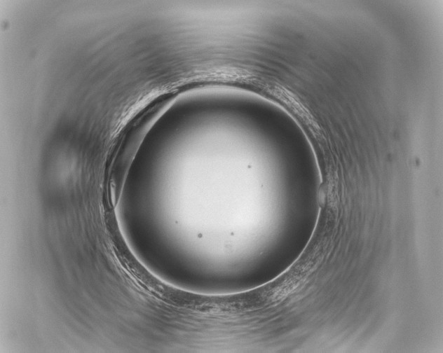 X0000059100434200510101222