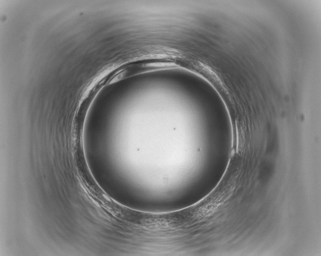 X0000059100435200510101222