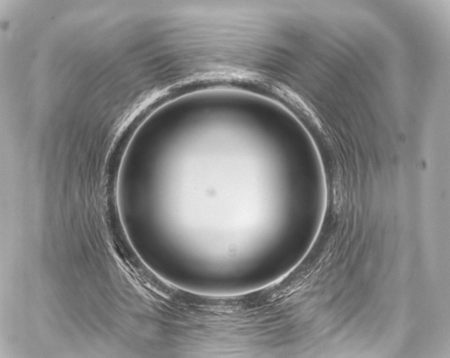 X0000059100436200510101222