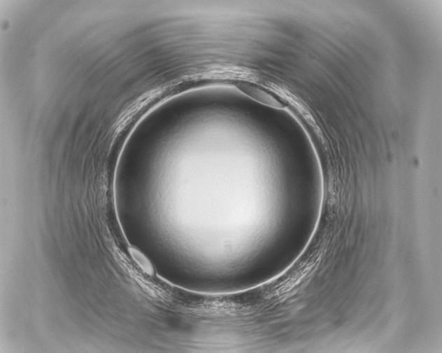 X0000059100437200510101222