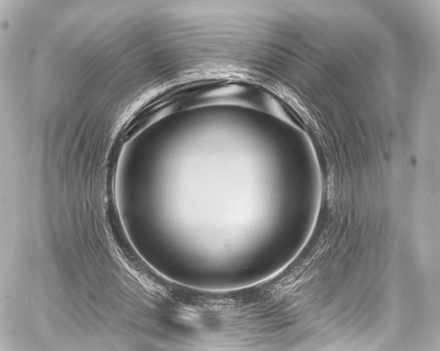 X0000059100438200510101222