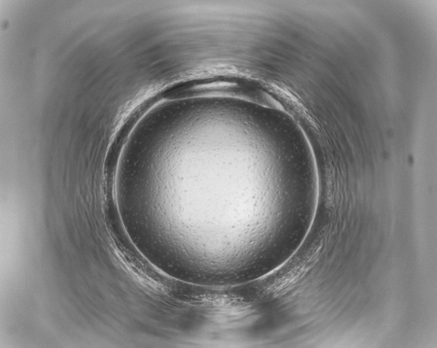 X0000059100439200510101222