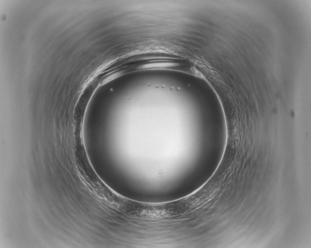 X0000059100440200510101222