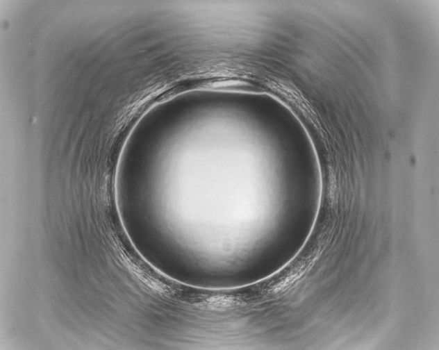 X0000059100441200510101222