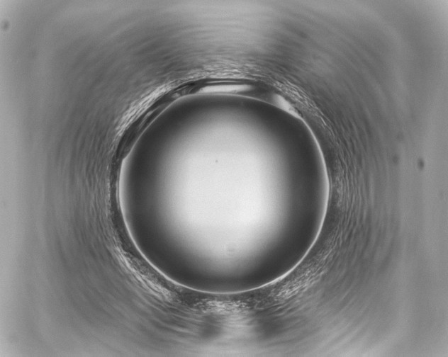 X0000059100442200510101222