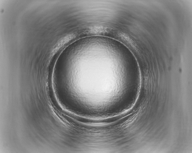 X0000059100443200510101222