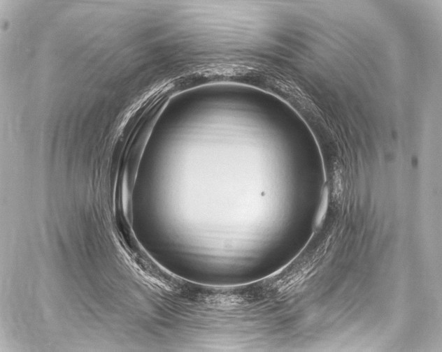 X0000059100444200510101222