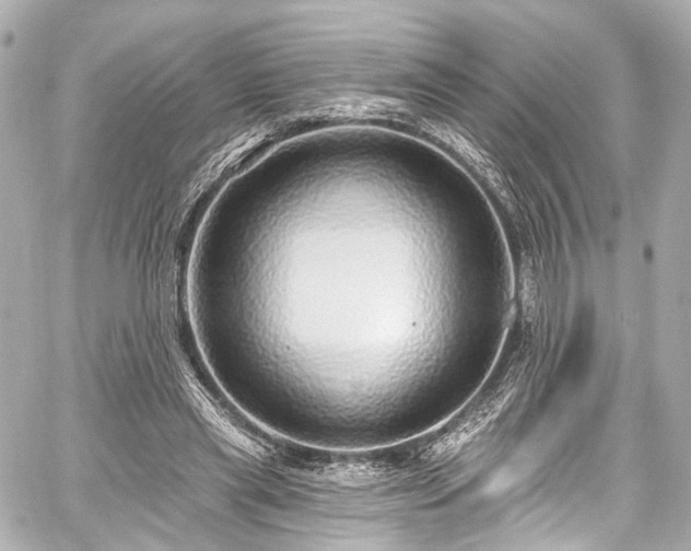 X0000059100445200510101222