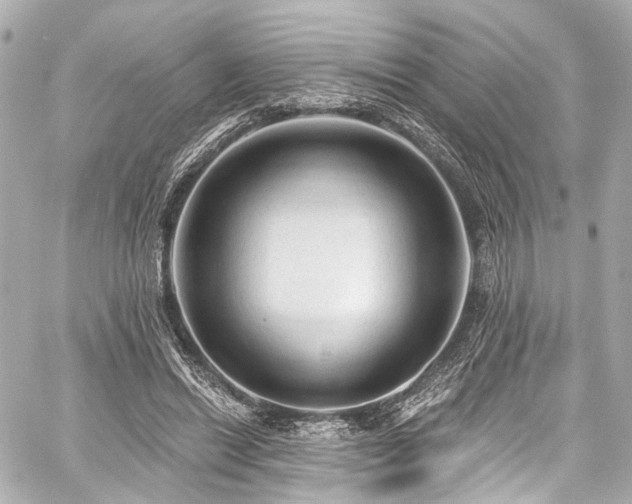 X0000059100446200510101222