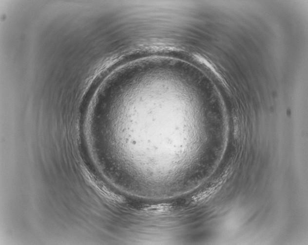 X0000059100447200510101222