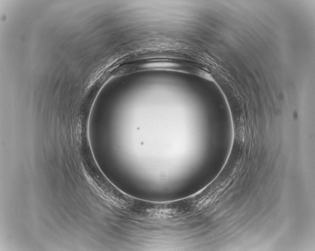 X0000059100448200510101222