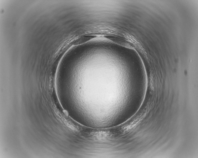 X0000059100449200510101223