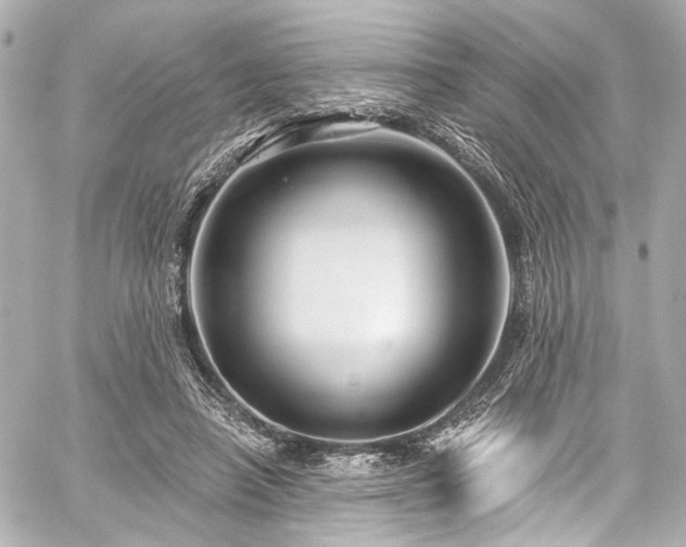 X0000059100450200510101223