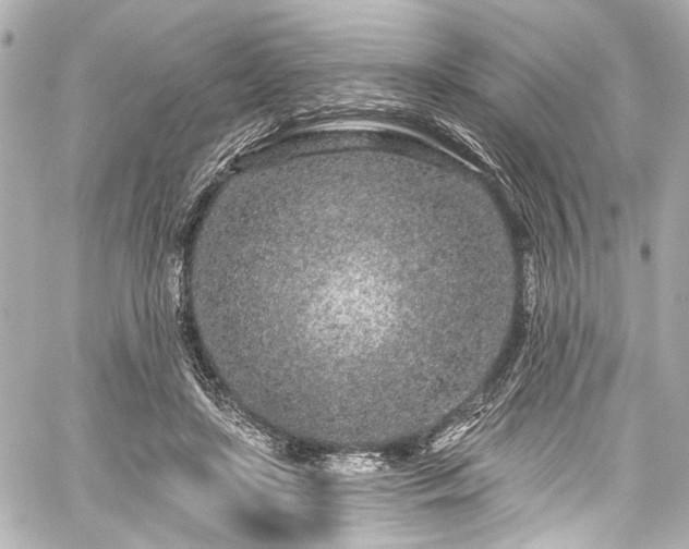 X0000059100451200510101223